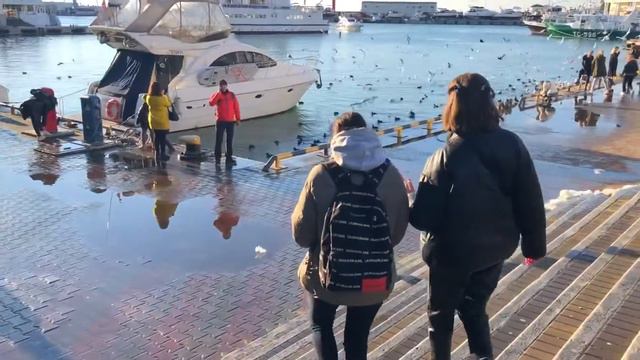 Морской Порт, Сочи , гуляем в тёплом феврале смотреть онлайн