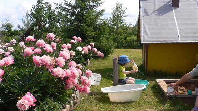 Дача.  Воспоминания.