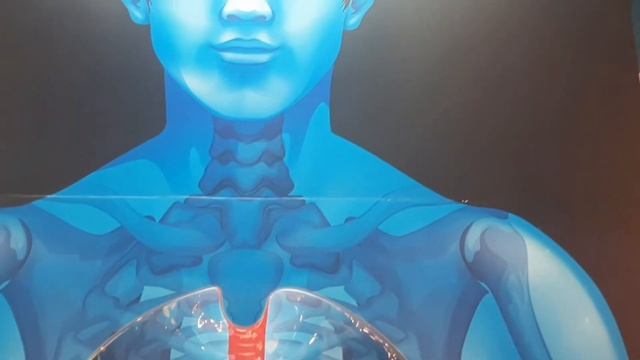 Прогулки по Москве. Выставка "Тело человека" в ЦДМ смотреть онлайн