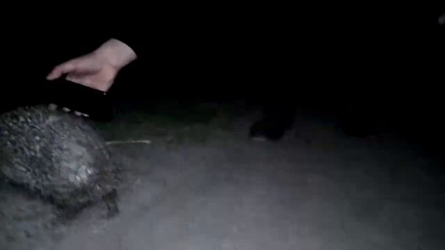 бешеный ёжик смотреть онлайн