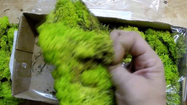 Мох мху рознь! Норвежский ягель VS Российский ягель. Выпуск 2. смотреть онлайн