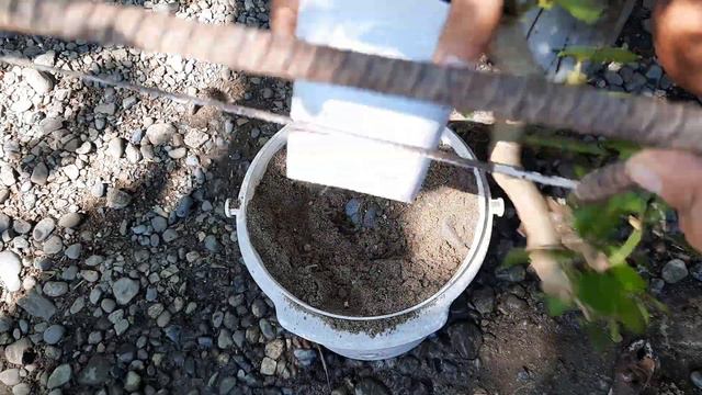 Ep24- Vitex Parviflora/Hibiscus Taiwan cascade Bonsai Project смотреть онлайн