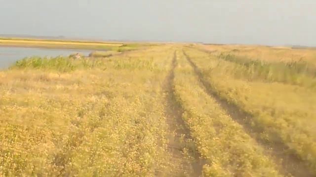 Сиваши. Ставки «Рассвета». смотреть онлайн