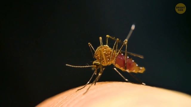 If You Hear Creaky Noises at Night, You May Not Be Alone смотреть онлайн