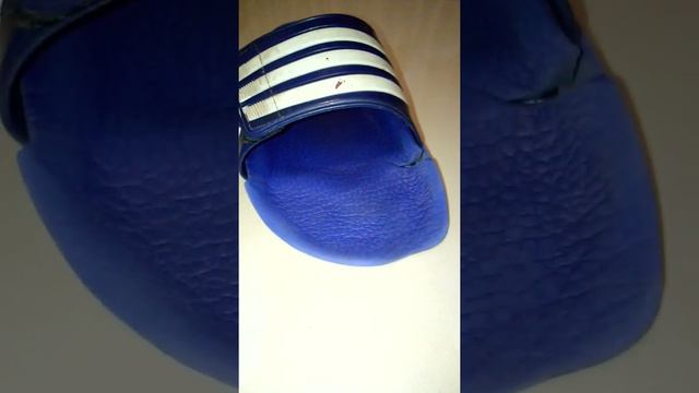 SLIPPER SIBLINGS SEASON 3 EPISODE 2 смотреть онлайн