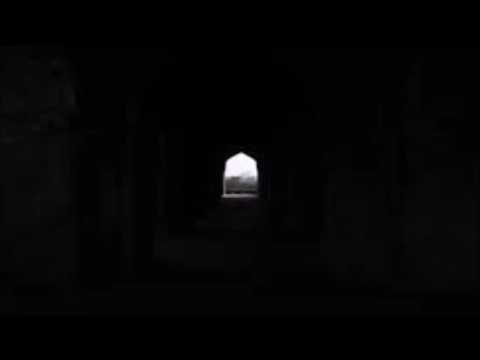 Three True Tales of Terror