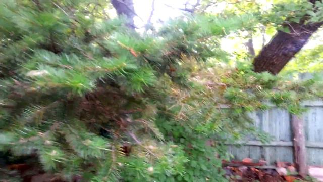 🐰 Приключения Малышки 🐰 - В гостях на ДАЧЕ