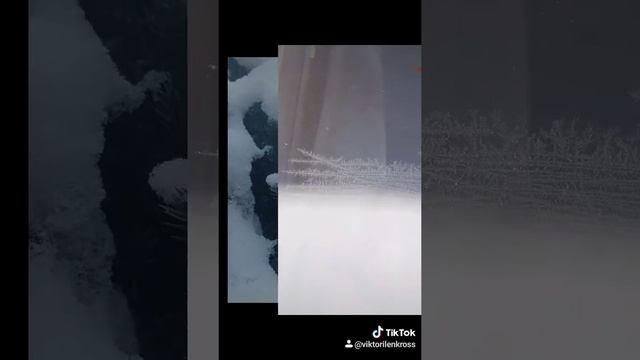 Ну, как вам природа на зимней даче?! ⁉️ смотреть онлайн