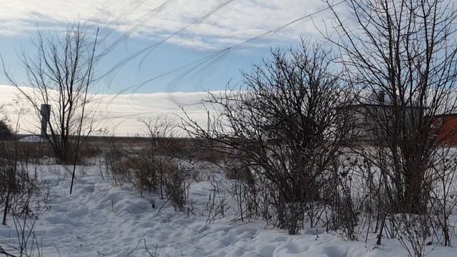 Ловля певчих птиц. Щеглиный день. Огневичок. Catching songbirds. Goldfinch day. смотреть онлайн