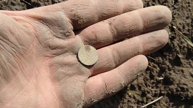 Два дня копа во выбитым местам. Xp deus цепляет. смотреть онлайн
