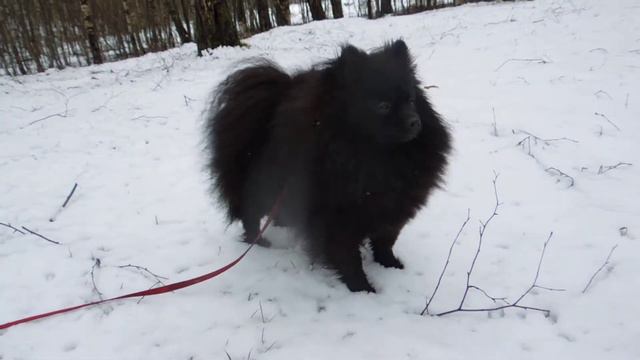 DSCN1145 смотреть онлайн