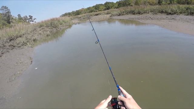 Chasing MONSTER Fish Around Tiny Creek! (Kayak fishing) смотреть онлайн