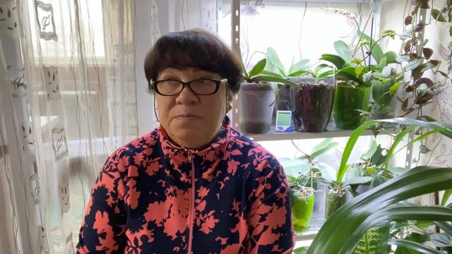 Как УДОБРЯЮ свои ОРХИДЕИ! смотреть онлайн