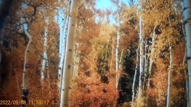 Сплетница МаЩа - может тебе показать мои трусы -ответила Маша па вопрос смотреть онлайн