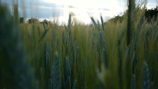 РЕЛАКС ГЛУБОКИЙ СОН МУЗЫКА ДЛЯ СНА БЕЗ РЕКЛАМЫ смотреть онлайн