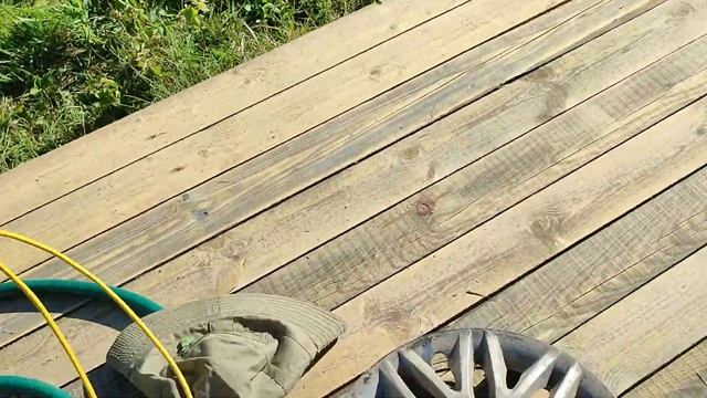 ? СОЧИ НА ДАЧЕ: загораем, расчистили и выровняли полянку, сделали решётки. НАВОДИМ КРАСОТУ ДАЛЬШЕ смотреть онлайн