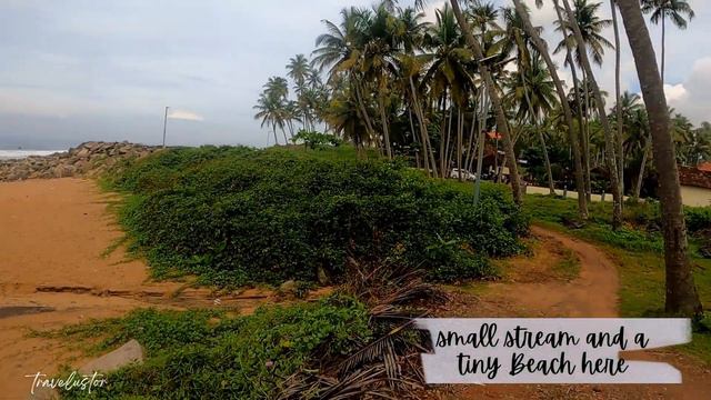 Way to the Hidden Lotus pond of Varkala l Kerala #travel #varkala #kerala #lotuspond #lotus #kollam смотреть онлайн