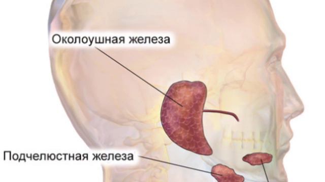 Точка первой помощи при боли в горле 温溜, LI7, WenLiu, как ставить иглу