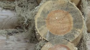 ДОМ ИЗ БРЕВНА