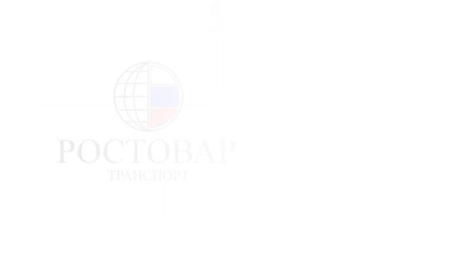 ТСП РОСТОВАР. Презентация деятельности (25.11.2019) смотреть онлайн