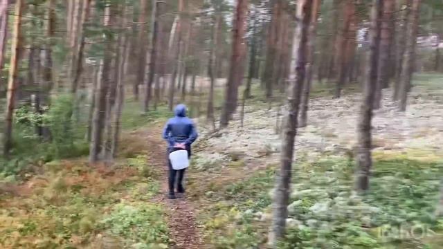 ГРИБЫ. РВАТЬ ИЛИ СРЕЗАТЬ?! 9 августа 2021 г. смотреть онлайн