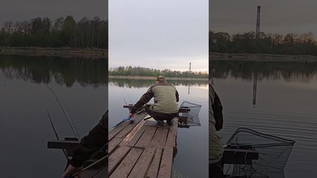 Рыба-Путешественница