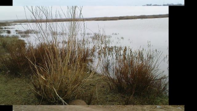 Есть такая речка РЕКА!