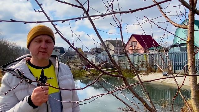 Уход за волосами с использованием масел и эфирных масел