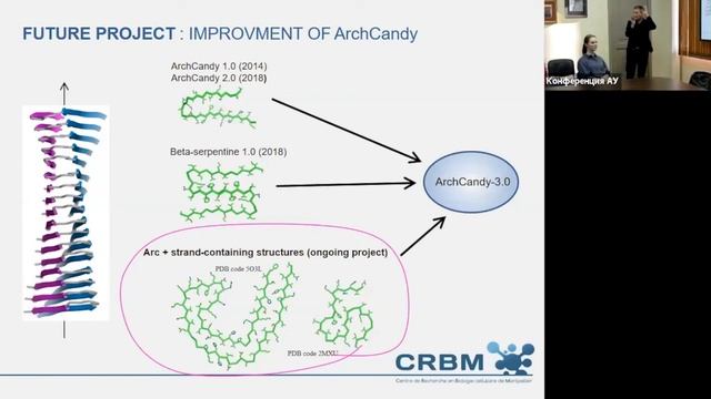 Лекция А.В. Каява - Principles of protein amyloidogenicity and its in silico prediction смотреть онлайн