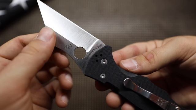 Self Defense Or EDC? | Spyderco Yojimbo 2