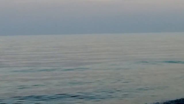 Дельфины. Дикий отдых. Аян-Дере смотреть онлайн