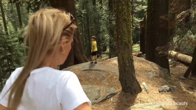 Sequoia park/Секвойя парк, обязательно всем побывать... Калифорния смотреть онлайн