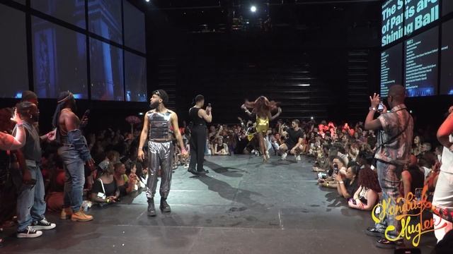 PERFECT 10'S THE STARS OF PARIS ARE SHINING BALL смотреть онлайн