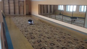 Гимнастика девочки 7   8 класс МЭ ВсОШ 2017