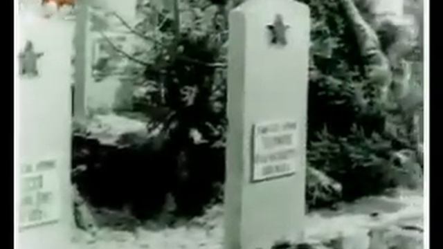Северодвинск с высоты птичьего полета 1-1 смотреть онлайн