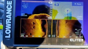 Что показывает эхолот Lowrance Elite FS тест на воде / поиск хищника