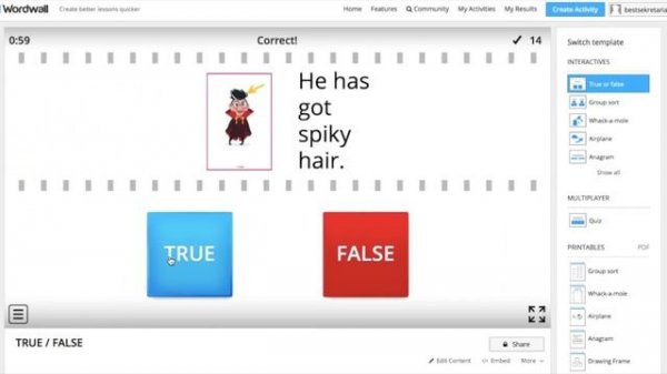 wordwall.net - true/false