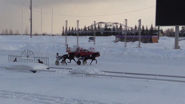 9 Февраля 2024 1 Заезд Приз в честь Дня российской науки смотреть онлайн