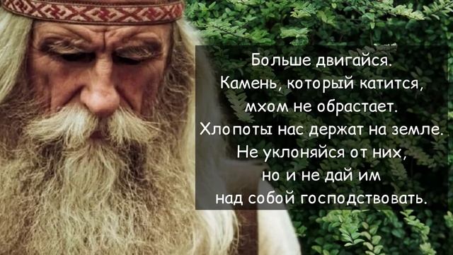50 ЗАПОВЕДЕЙ мудреца АНДРЕЯ ВОРОНА прожившего 104 года смотреть онлайн