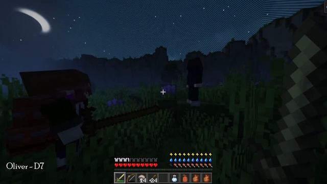 ?  THE FIRST ANNUAL BIRD GAMES - A Hunger Games Event ?