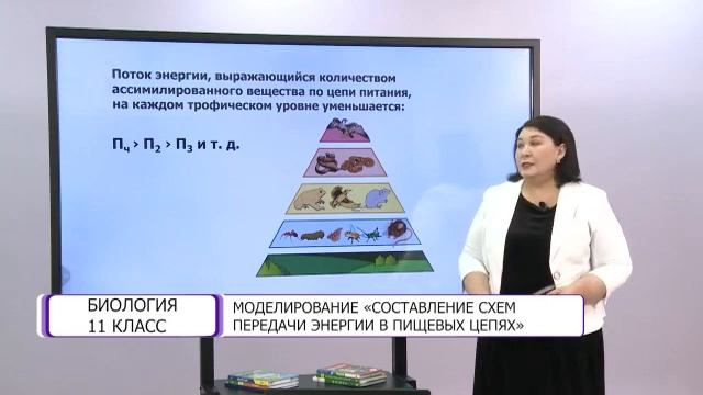 Биология. 11 класс. Моделирование «Составление схем передачи энергии в пищевых цепях» /12.04.2021/ смотреть онлайн
