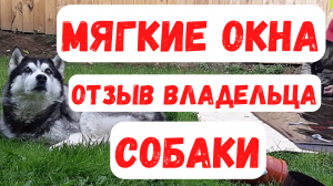 Мягкие окна и что будет с ними, если есть кошки и собаки?