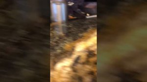 Отель Прометей Клуб в Лазаревском. Чем кормят