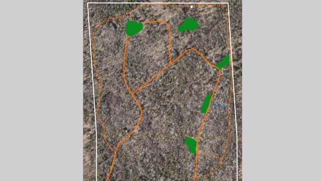 Fast Way To Create Access And Deer Trails In The Woods With The Right Equipment For The Situation смотреть онлайн