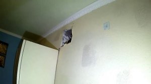 Как правильно установить вентиляционную решетку на кухне? Основа- моющиеся обои.