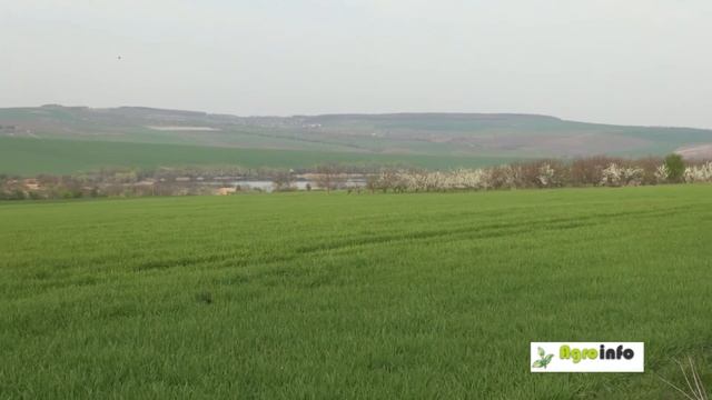 Новият фунгицид Кредо  на  DuPont