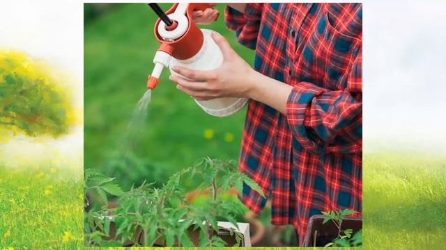 Ботва помидоров от вредителей. Сад. Огород. Садовод и огородник. смотреть онлайн