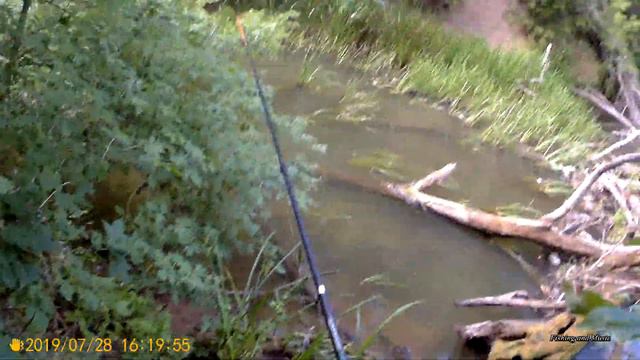 Там, где НЕТ РЫБАКОВ. Здесь, как на таежной реке. Пешком по КОРЯЖНИКАМ. Ловля голавля в проводку. смотреть онлайн