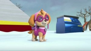 ?Chase x Skye, Гонщик и Скай?Щенячий патруль! Клип! Малая