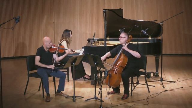 C. Schumann / Piano Trio, op. 17, III. Andante / Pietri-Coimbre, Pedersen, Chan смотреть онлайн